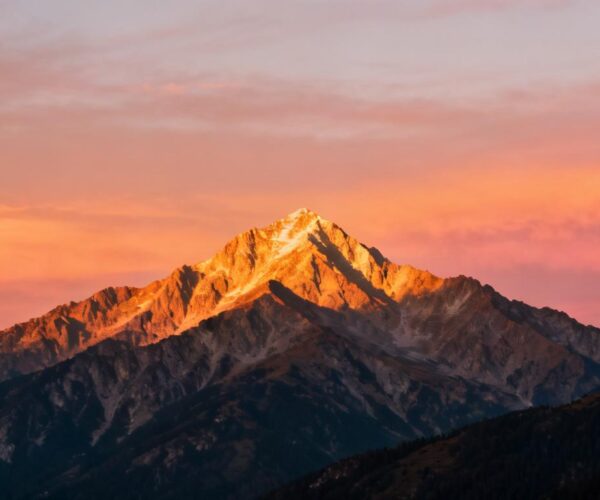 Adobe Stock for New Zealand Creators: Smart Licensing, Easy Workflow, Better Results