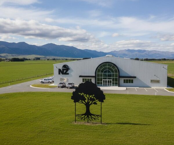 NZ Safety Blackwoods: A Practical Guide for Kiwi Businesses to Buy PPE, Workwear, and Safety Supplies